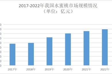 佛山短视频推广服务商参考：选型指南、费用区间与案例参考